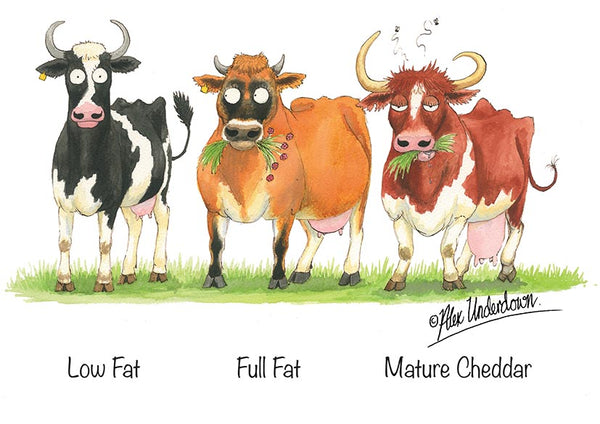 Dairy cattle greeting card "Low Fat, Full Fat, Mature Cheddar" by Alex Underdown.