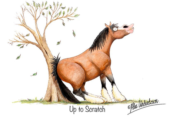 Horse greeting card "Up to scratch" by Alex Underdown.