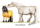 Horse Whisperer cartoon greeting card by Alex Underdown