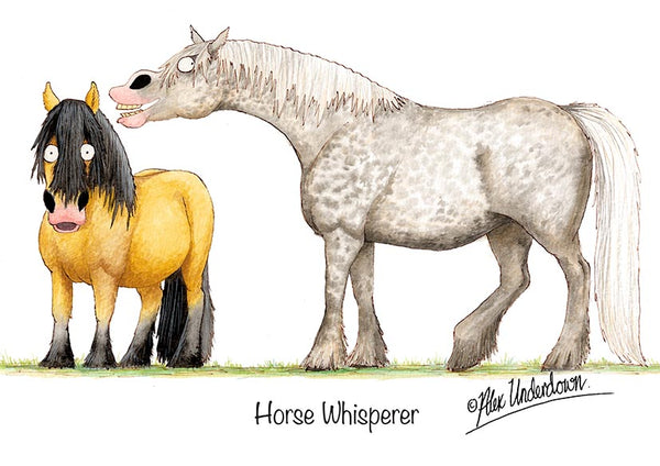 Horse greeting card "Horse Whisperer" by Alex Underdown.
