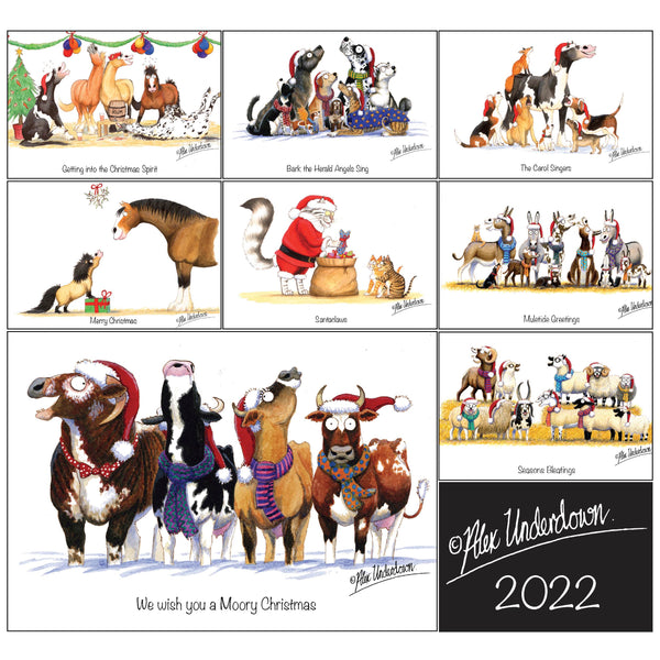 Christmas Card Set (Pack Of 10) - Funny Christmas Cards