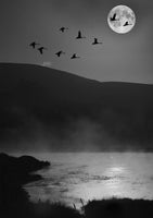 geese flying in front of moon over lake