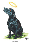 Cartoon dog greeting card. Smug Labrador by Bryn Parry