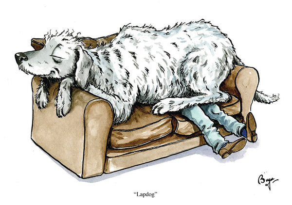 Lapdog dog greeting card by Bryn Parry