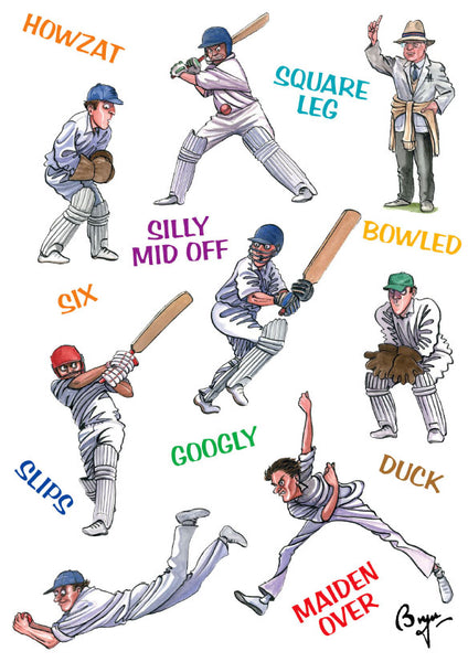Cricket birthday card. Cricketing Terms by Bryn Parry