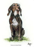 German wire-haired Pointer dog birthday card by Bryn Parry