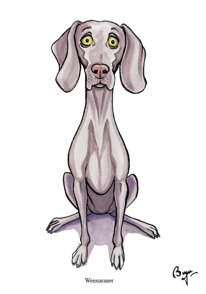 Weimaraner dog Greeting Card by Bryn Parry