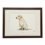 Mellow Yellow Labrador dog limited edition print by Bryn Parry