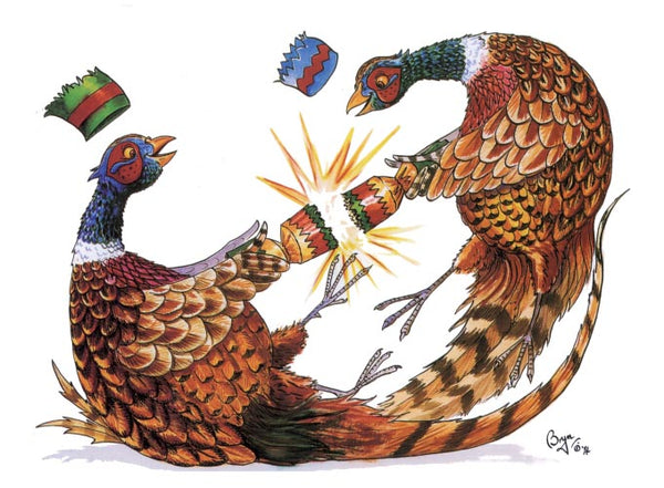 Festive Pheasant Christmas card by Bryn Parry