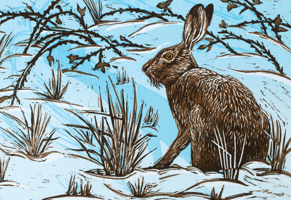 Hare greeting card. Christmas Hare by Colin Blanchard