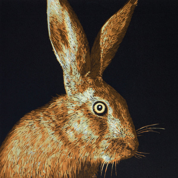 Brown hare wildlife greeting card by Colin Blanchard.