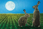 Hare and nature greeting card. Lunar Lovers by Colin Blanchard
