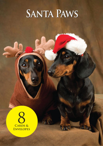 8 Dachshund Dogs Christmas Cards & envelopes by Charles Sainsbury-Plaice