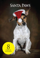 Jack Russell Terrier Dog Christmas Cards & envelopes by Charles Sainsbury-Plaice