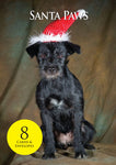Border Terrier Dog Christmas Cards & envelopes by Charles Sainsbury-Plaice