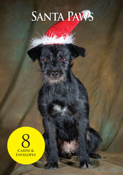 Border Terrier Dog Christmas Cards & envelopes by Charles Sainsbury-Plaice