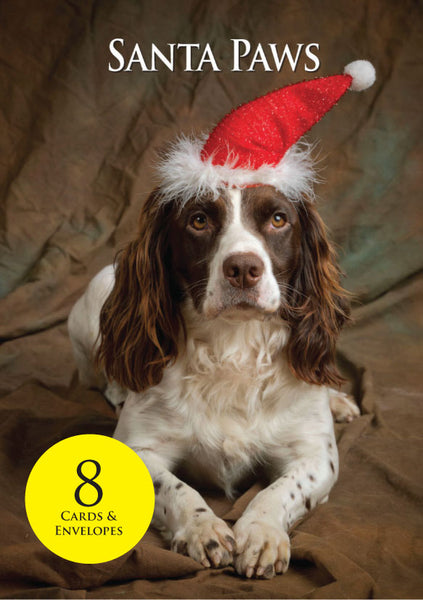 8 Springer Spaniel Christmas Cards & envelopes by Charles Sainsbury-Plaice