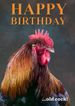 Cockerel birthday card by Charles Sainsbury-Plaice