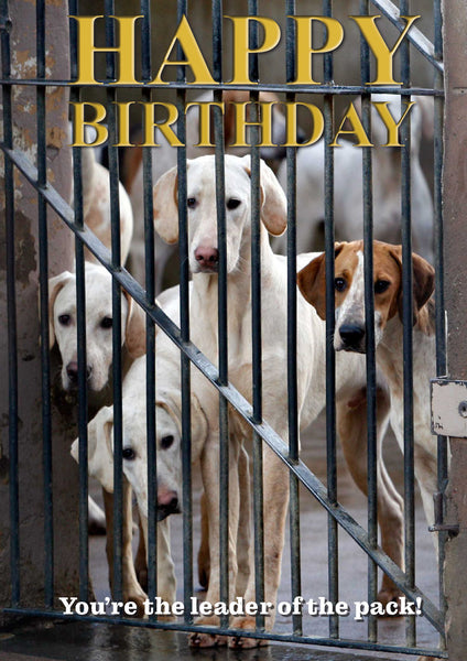Foxhound birthday card by Charles Sainsbury-Plaice