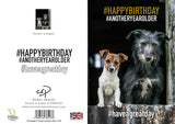 Dogs Birthday Card by Charles Sainsbury-Plaice