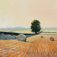 Landscape and countryside greeting card. End of a hot day