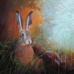 Wildlife and countryside greeting. Golden Hare