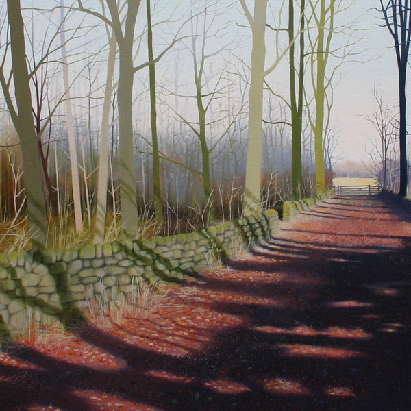 Woodland, landscape greeting card. March Shadows