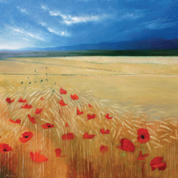 Landscape and wildflower greeting card. Poppies in Wheat