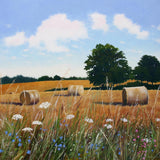 August landscape greeting card by Heather Blanchard. Round bales in field with wildflowers in foreground
