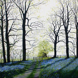 Bluebells landscape greeting card by Heather Blanchard.