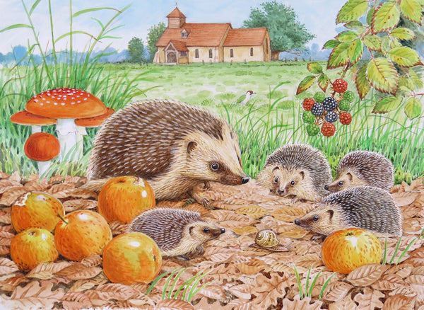 Hedgehog wildlife, nature, greeting card by David Thelwell