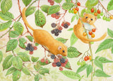 Doremouse greeting card by David Thelwell