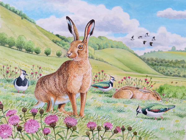 Hare wildlife, nature, greeting card by David Thelwell
