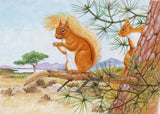 Red Squirrel greeting card by David Thelwell