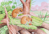 Field Mouse greeting c are by David Thelwell