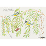 Tree and Wildlife Greeting Card. White Willow By David Thelwell