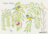 British Trees and Wildlife Greeting Card Multipack by David Thelwell