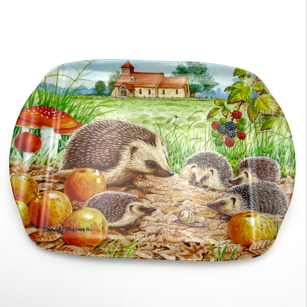 Hedgehog wildlife and nature melamine serving tray by David Thelwell