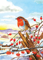 Christmas Robin Christmas Card by David Thelwell