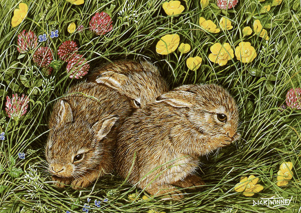 Wildlife Greeting Card. Leverets by Dick Twinney