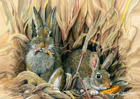 Wildlife Greeting Card. Rabbits by Dick Twinney