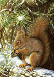 Wildlife Greeting Card. Red Squirrel by Dick Twinney