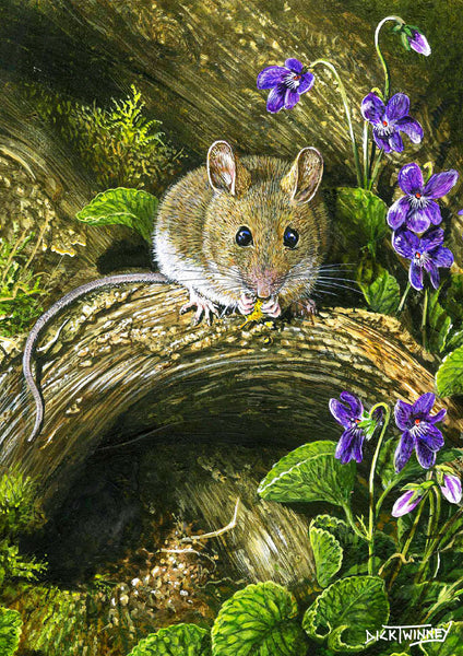 Wildlife greeting card. Wood Mouse by Dick Twinney