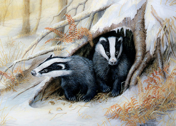 Badger Christmas Card by Dick Twinney