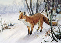 Fox Christmas Card by Dick Twinney