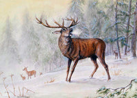 Wildlife Christmas Card Pack by Dick Twinney