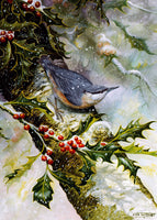 Nuthatch Bird Christmas Card by Dick Twinney
