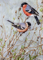 Bullfinches and Honeysuckle Bird Christmas Card by Dick Twinney