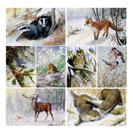 Wildlife Christmas Card Pack by Dick Twinney