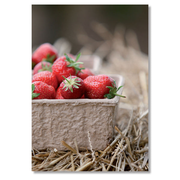 Gardening Greeting Card. English Stawberries by Charles Sainsbury-Plaice